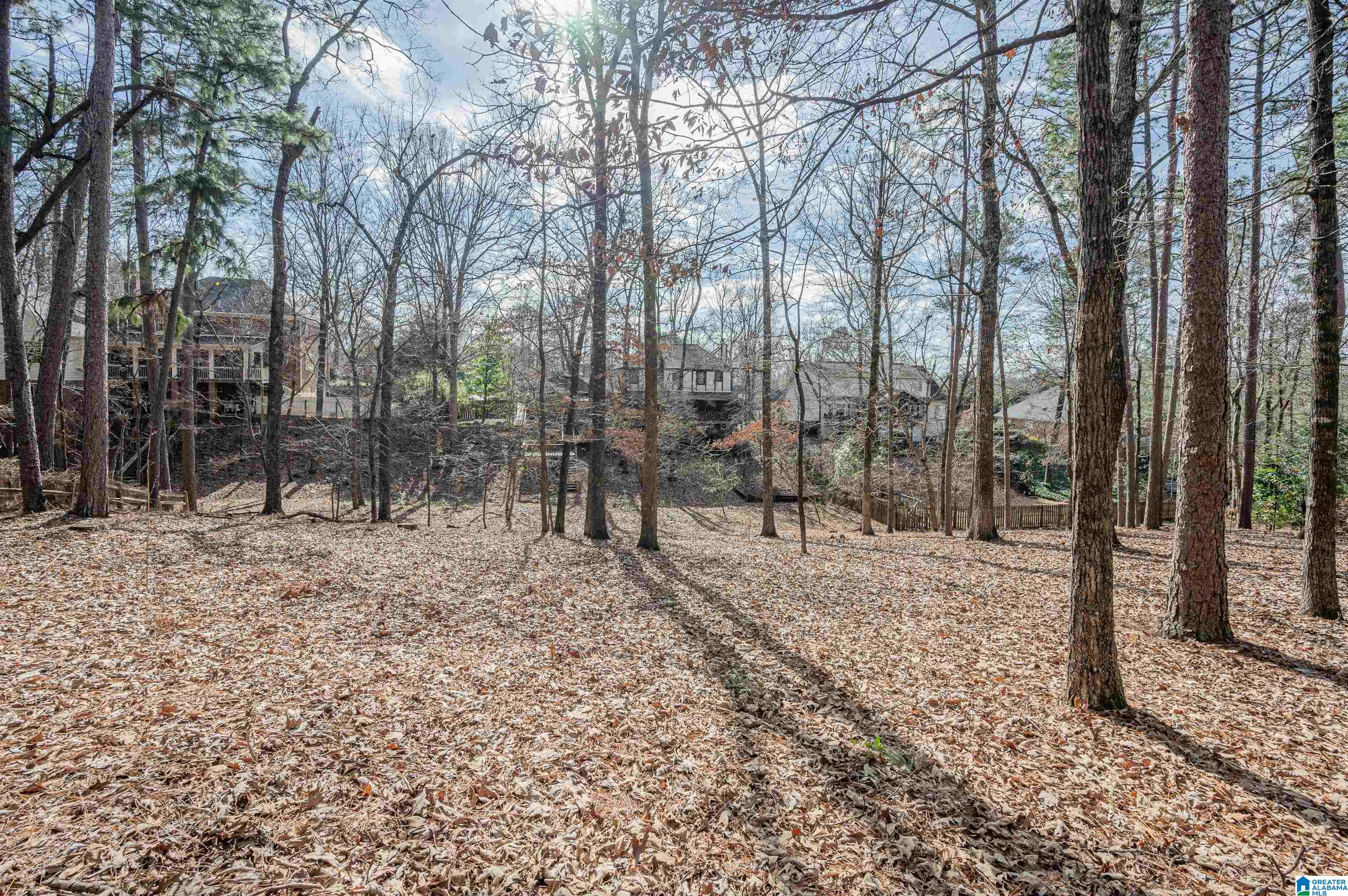 3828 Timberline Way Birmingham, AL 35243 - Photo 43 of 50