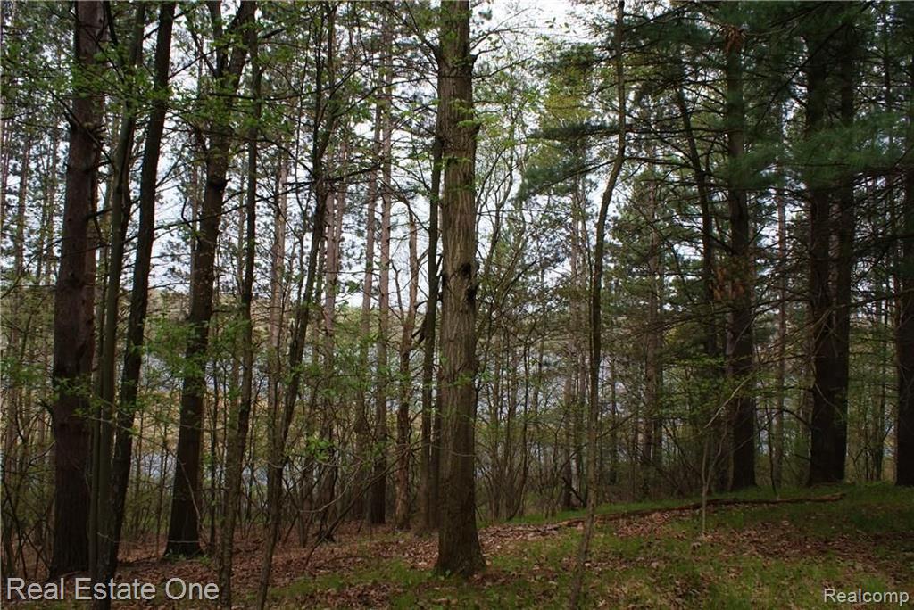 2 McKeen Lake Road Columbiaville, MI 48421 - Photo 29 of 51