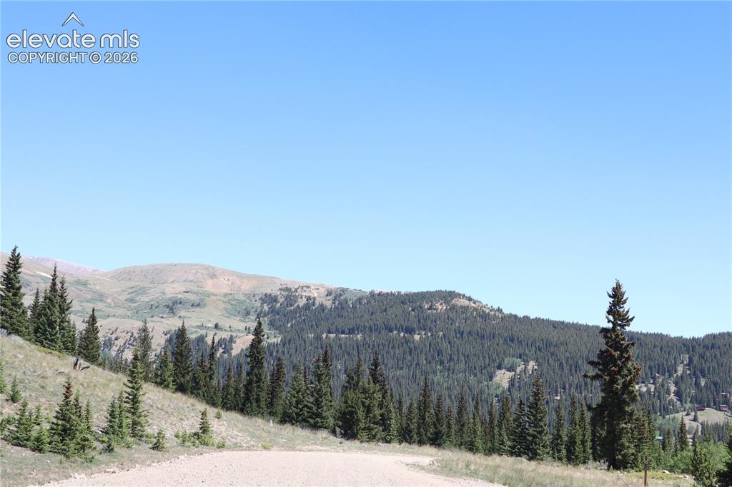 1480 Roberts Road Alma, CO 80420 - Photo 15 of 26