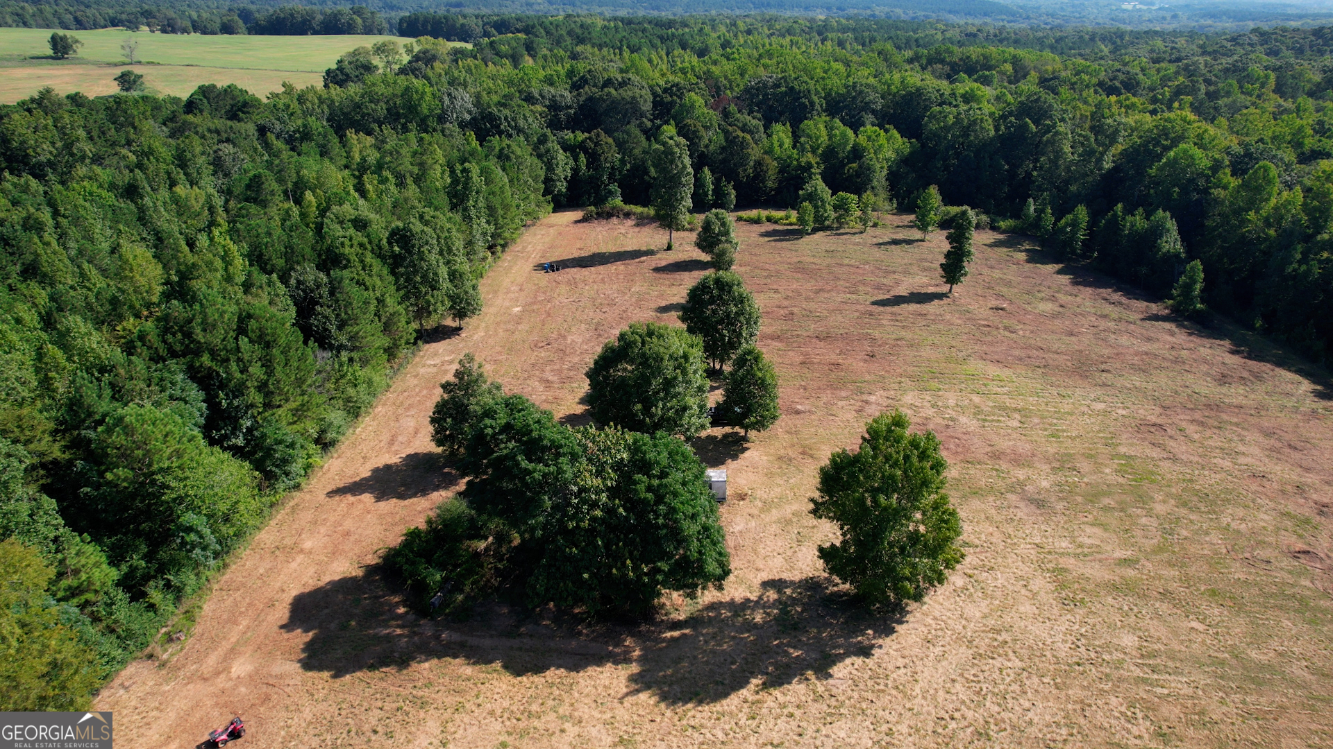2911 A Sandy Creek Road Madison, GA 30650 - Photo 17 of 41 a view of a park with large trees