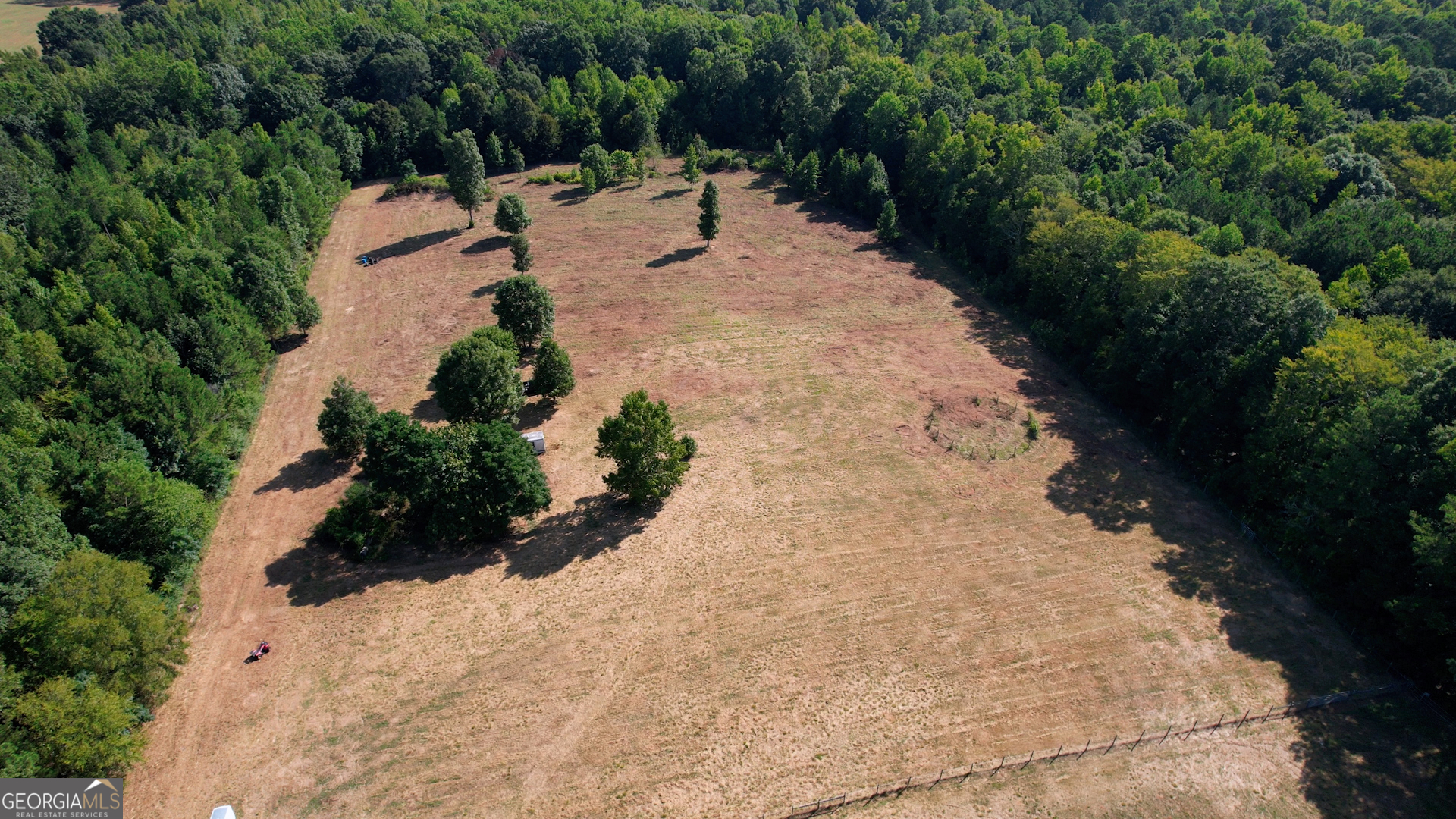 2911 A Sandy Creek Road Madison, GA 30650 - Photo 28 of 41 a view of a yard with plants and large trees
