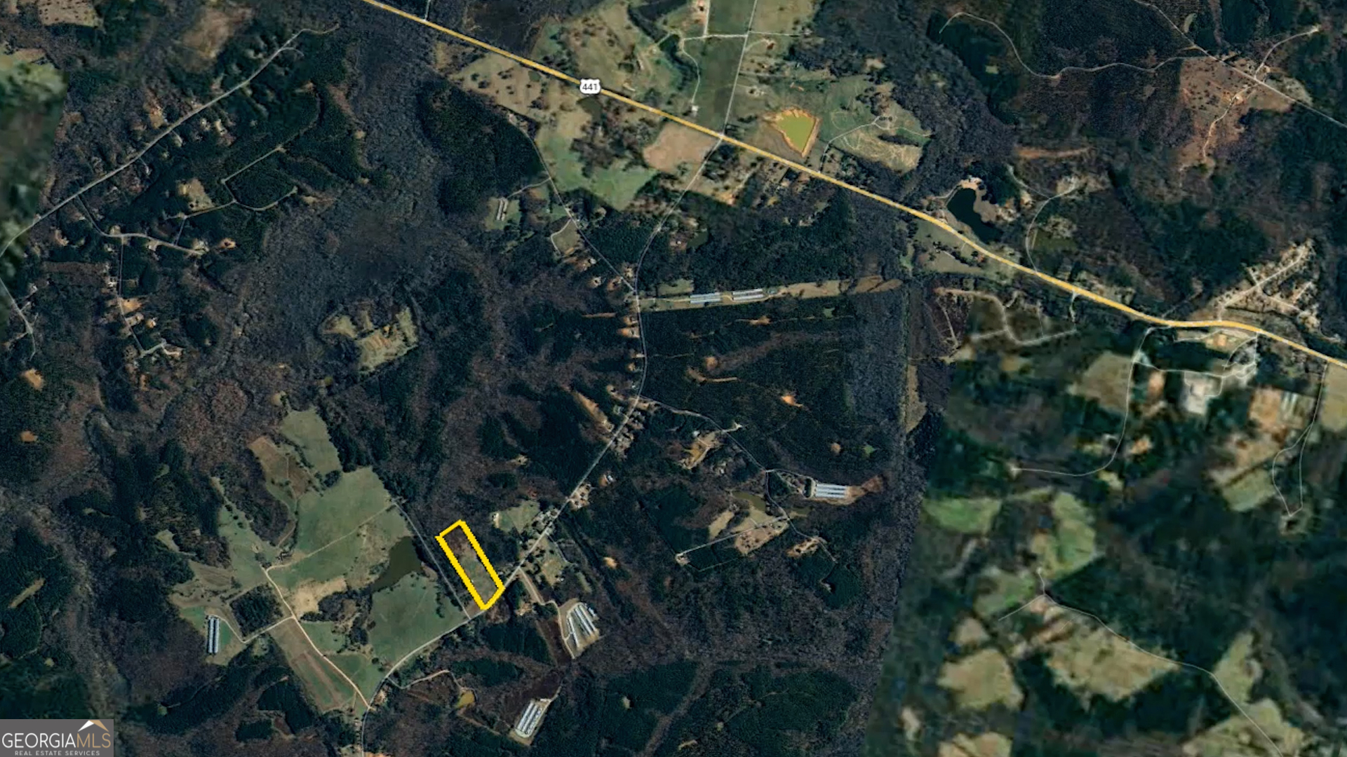 2911 A Sandy Creek Road Madison, GA 30650 - Photo 37 of 41 a picture of tree