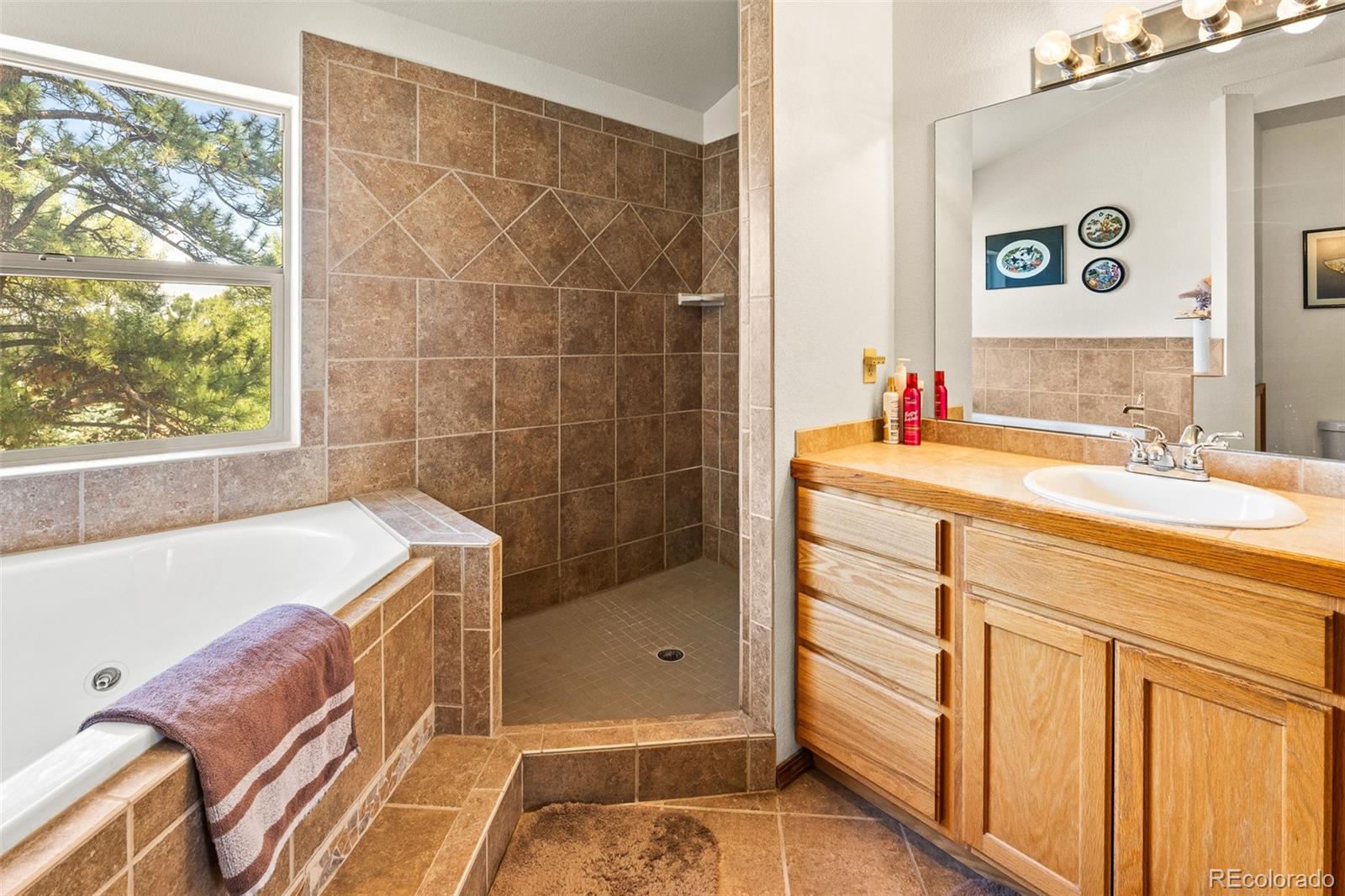 3943 Co Road Florissant, CO 80816 - Photo 15 of 27 Gallery Image 15
