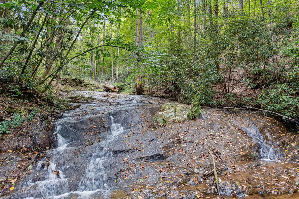 220 Old Ml Trace Blue Ridge, GA 30513 - Photo 1 of 78 Main View