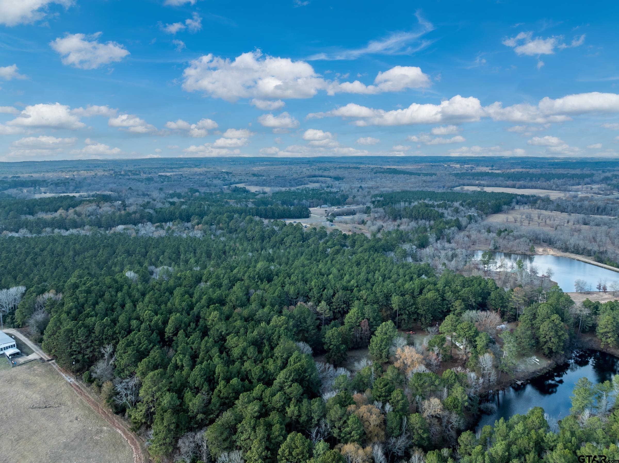 0 State Highway 155 Palestine, TX 75803 - Photo 8 of 12 a view of a bunch of trees