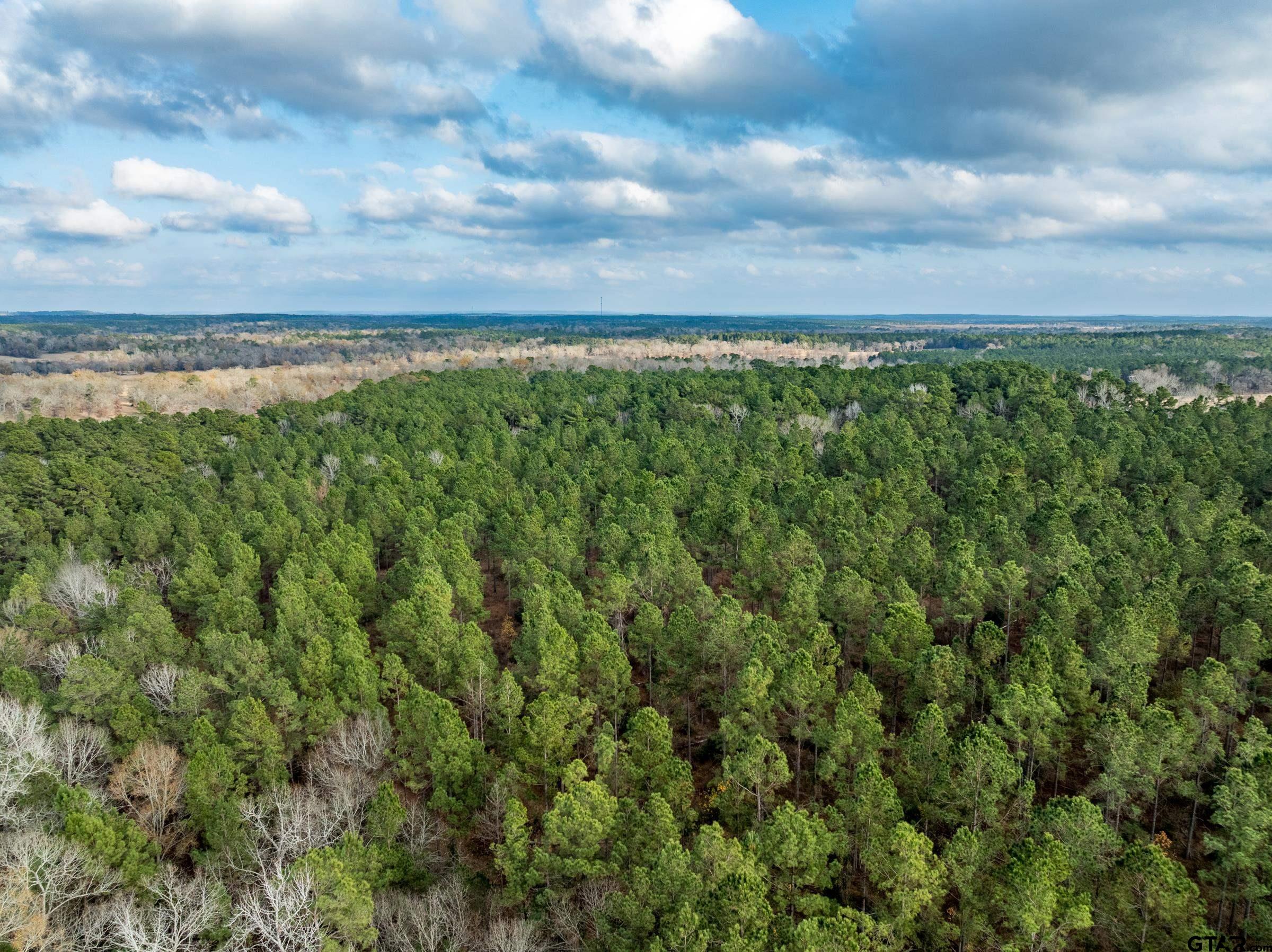 0 State Highway 155 Palestine, TX 75803 - Photo 10 of 12 a view of a yard and an ocean in back