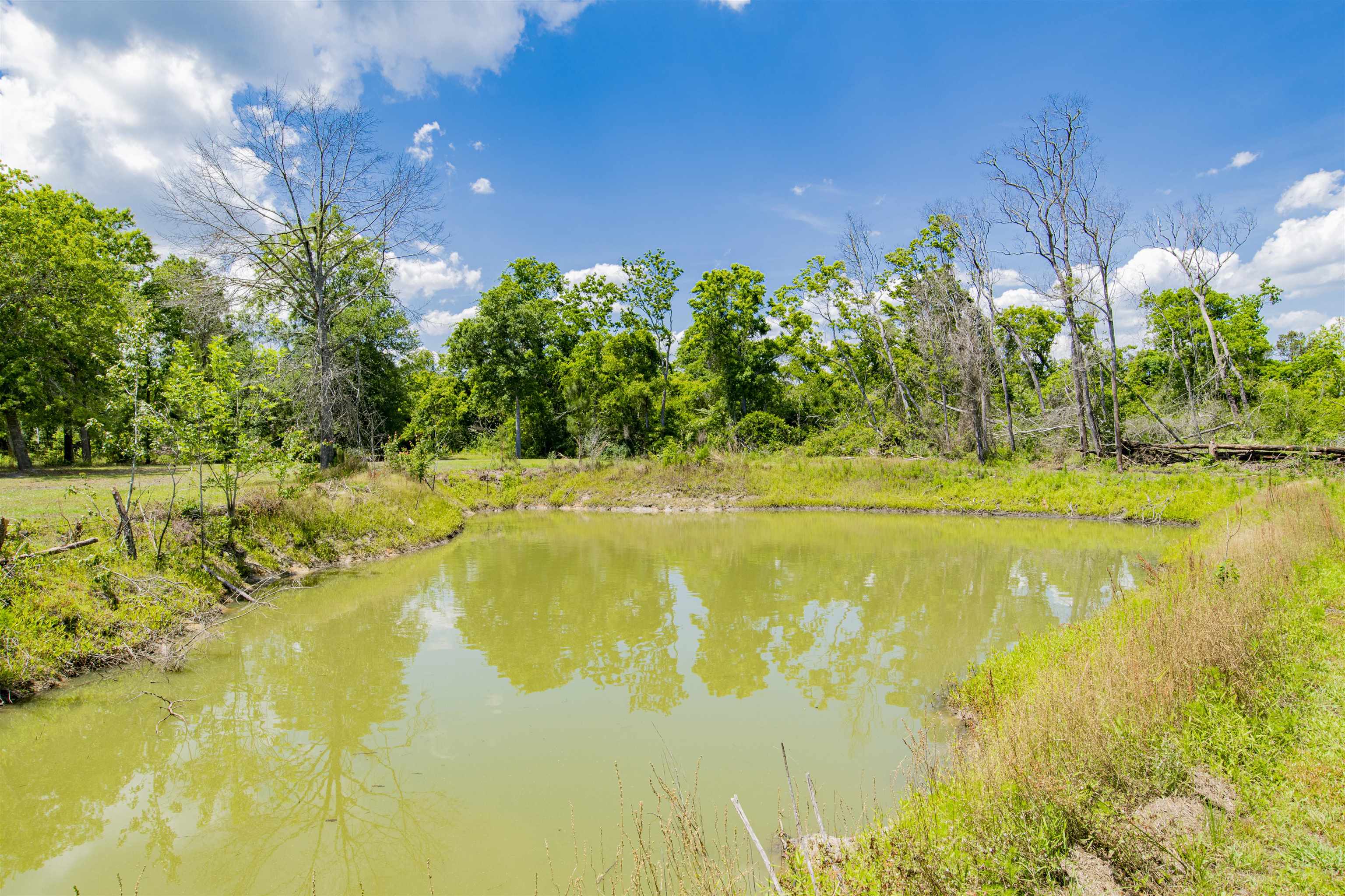 12509 Breman Road Elberta, AL 36530 - Photo 25 of 37