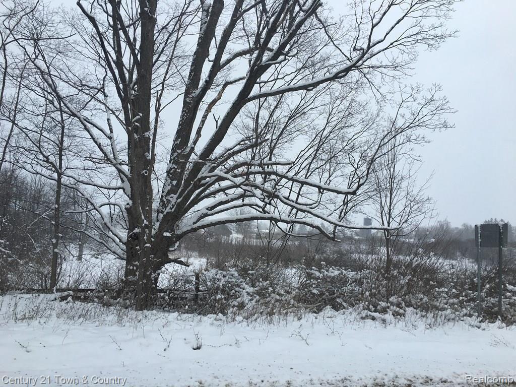 0 Hosner Road Oxford, MI 48371 - Photo 8 of 9 C:\Users\jblondell\Desktop\8.jpg