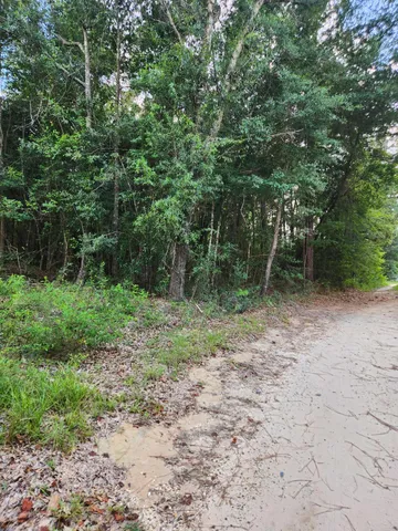 a view of a grassy field with trees in the background