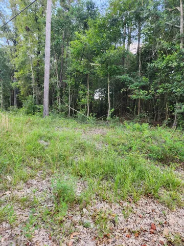 a view of outdoor space with deck and yard