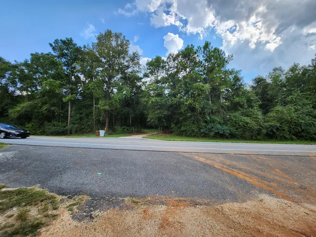 a view of a big yard with large trees