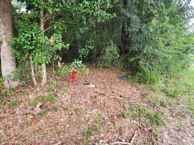 a view of a grassy field with trees in the background