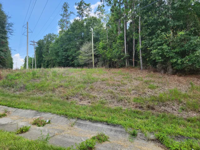 a view of a yard with plants and a bench