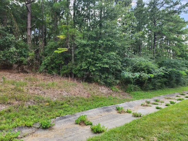 a view of a lake with a yard