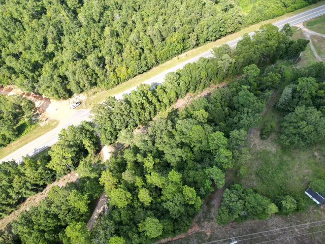 a view of a forest with a yard