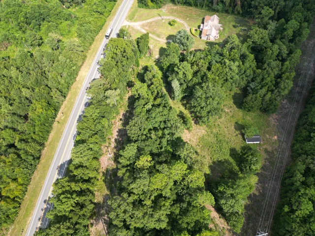 a view of a yard with plants
