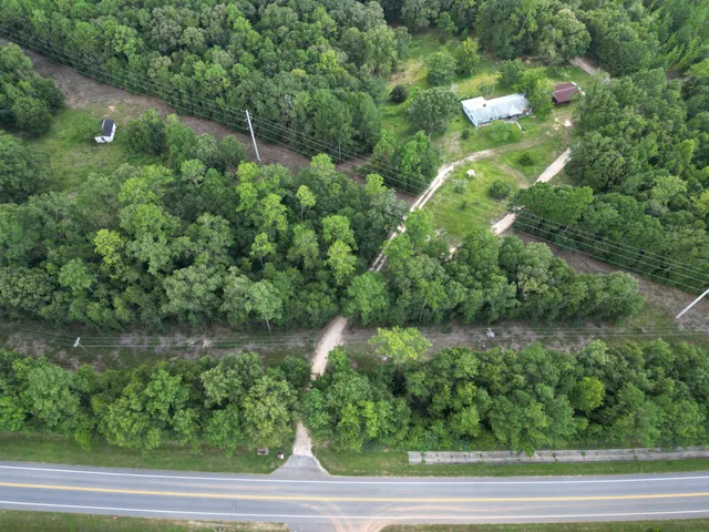 a view of a garden with a lake