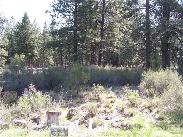 59720 Navajo Road Bend, OR 97702 - Photo 18 of 23 Back of the property
