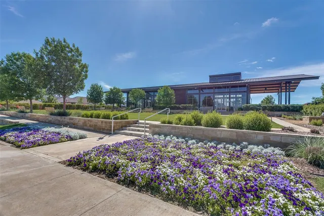 a view of a garden with flowers and plants