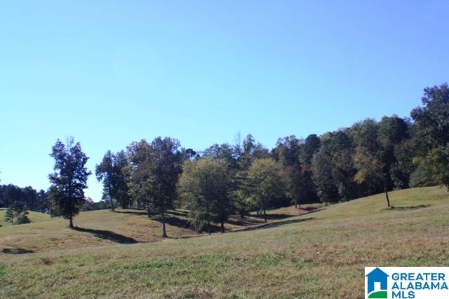 1785 Nunnally Lake Road Ohatchee, AL 36271 - Photo 31 of 50