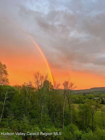 a view of a yard with a yard