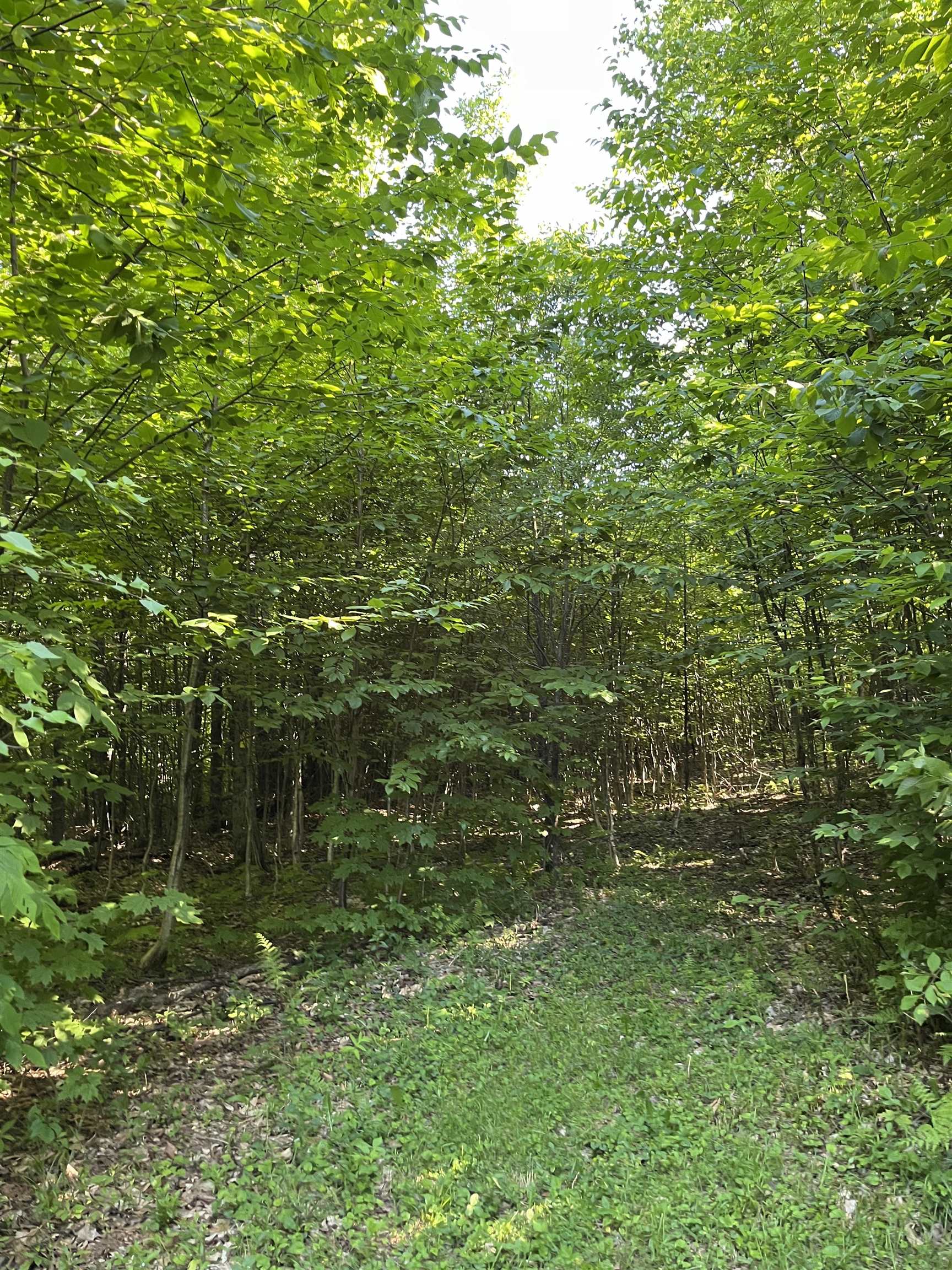 3-a Westover Road Jay, VT 05859 - Photo 14 of 19 Gallery Image 14