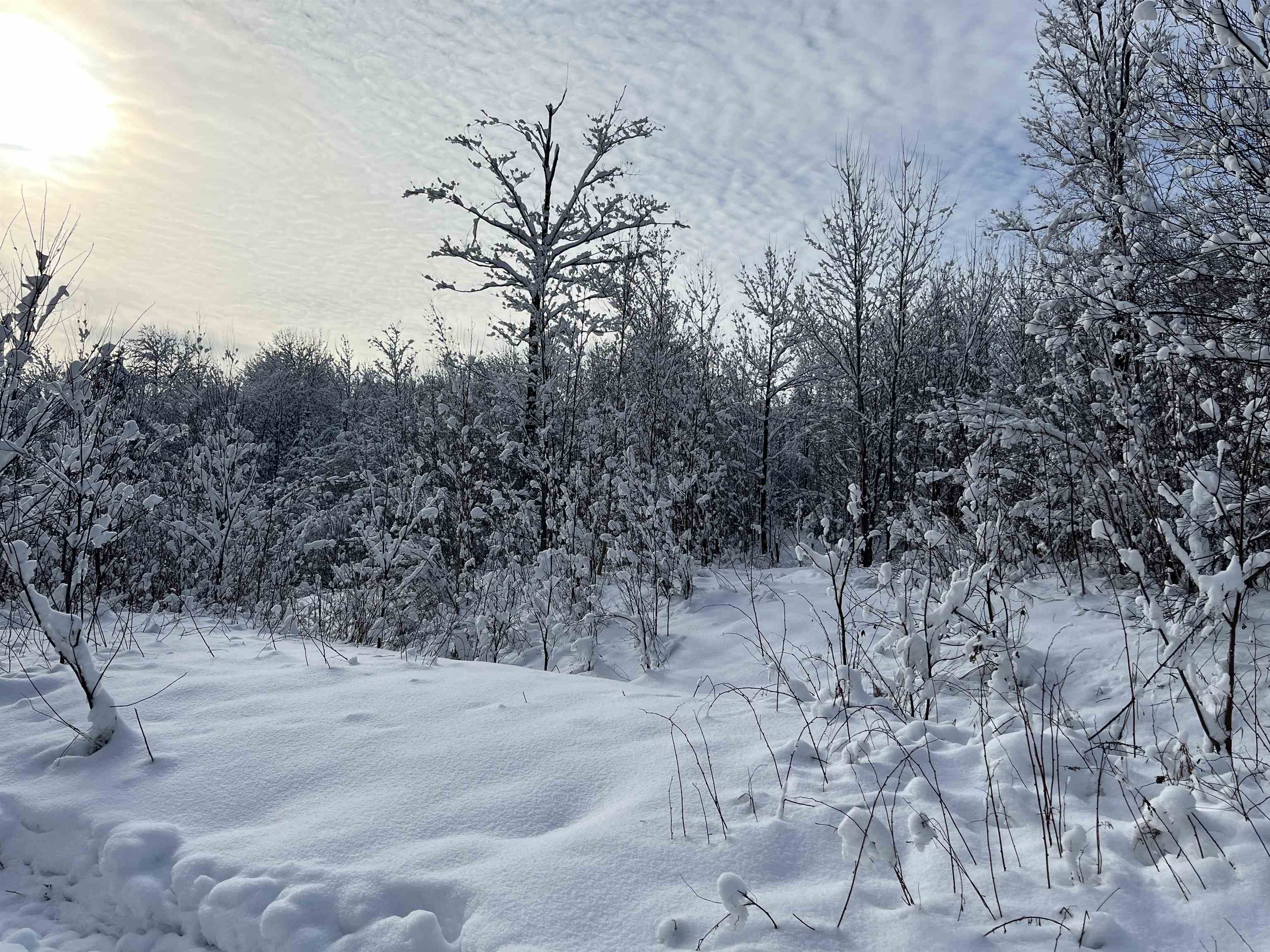 3-a Westover Road Jay, VT 05859 - Photo 18 of 19 Gallery Image 18