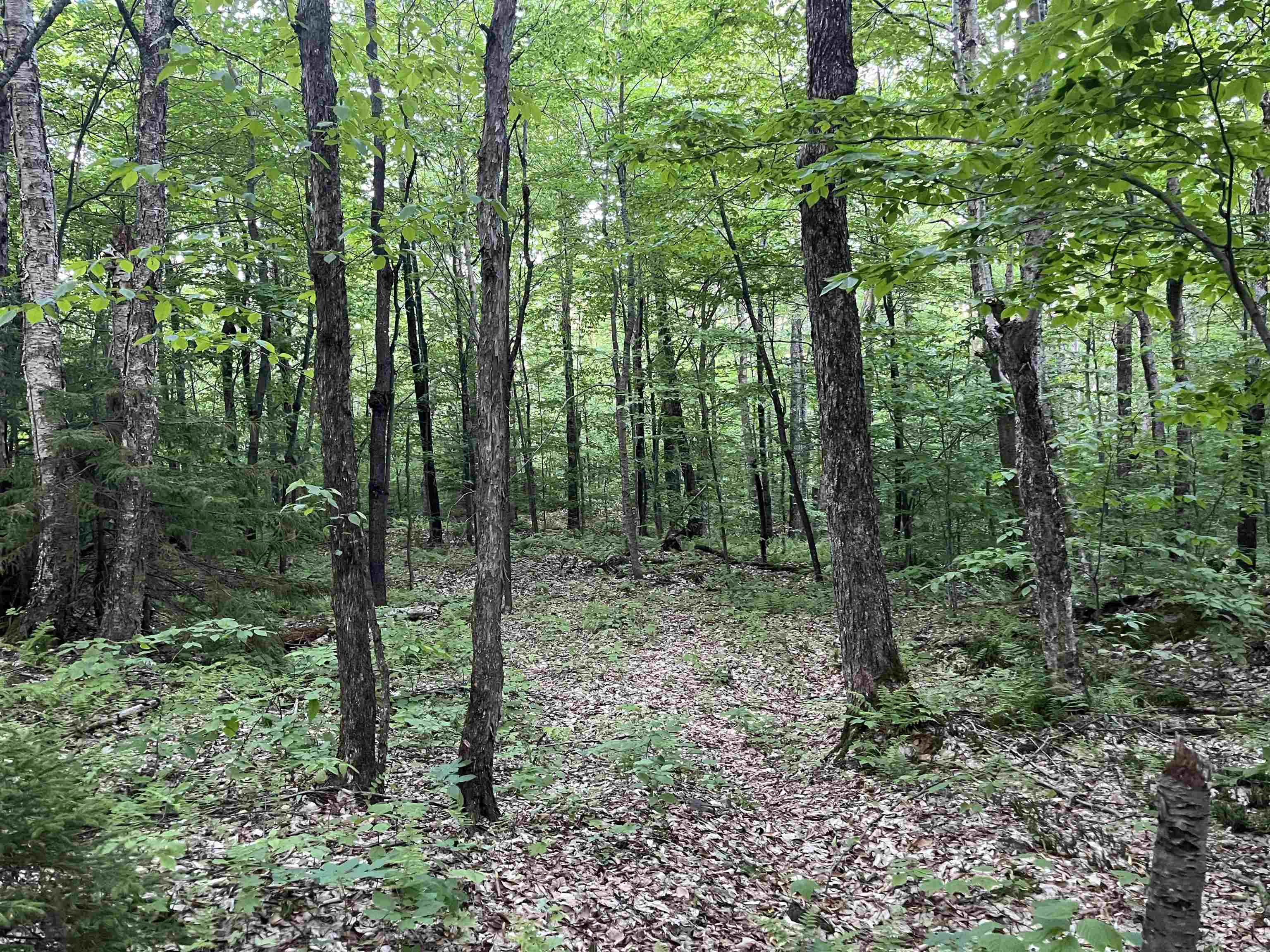 3-a Westover Road Jay, VT 05859 - Photo 2 of 19 Gallery Image 2