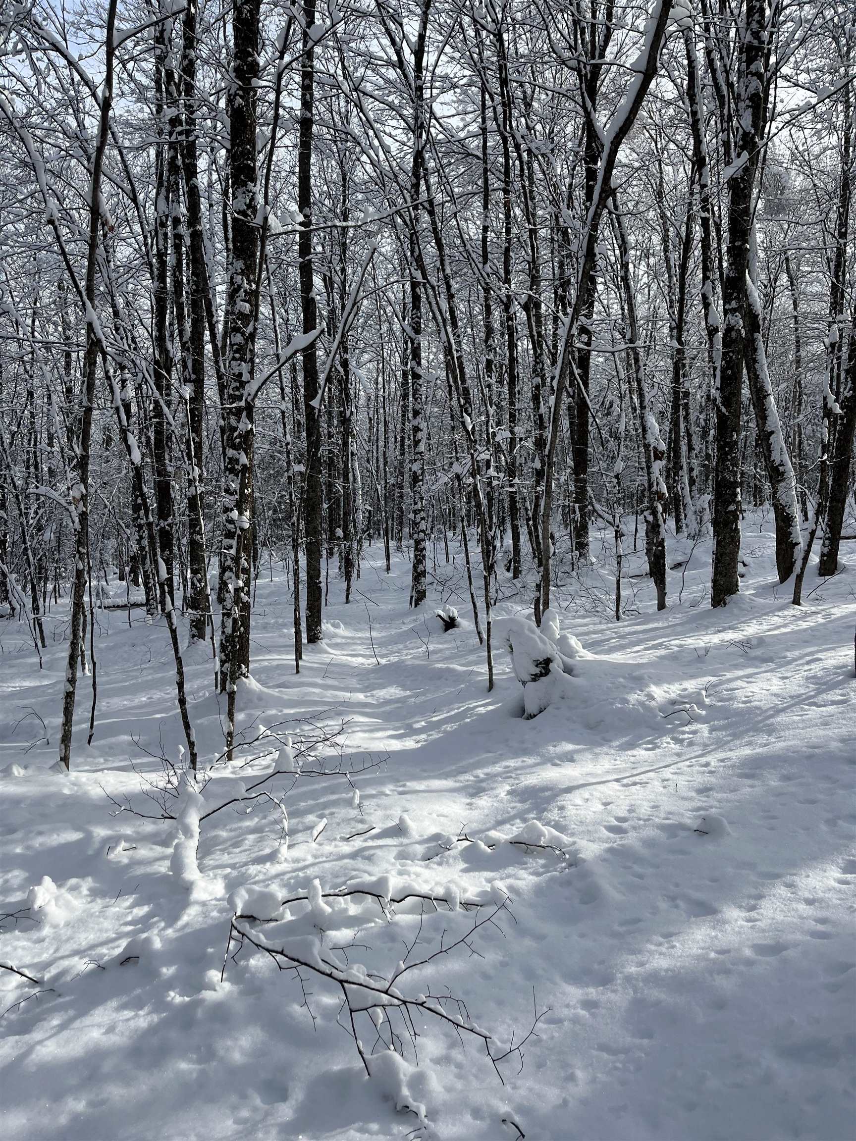 3-a Westover Road Jay, VT 05859 - Photo 5 of 19 Gallery Image 5