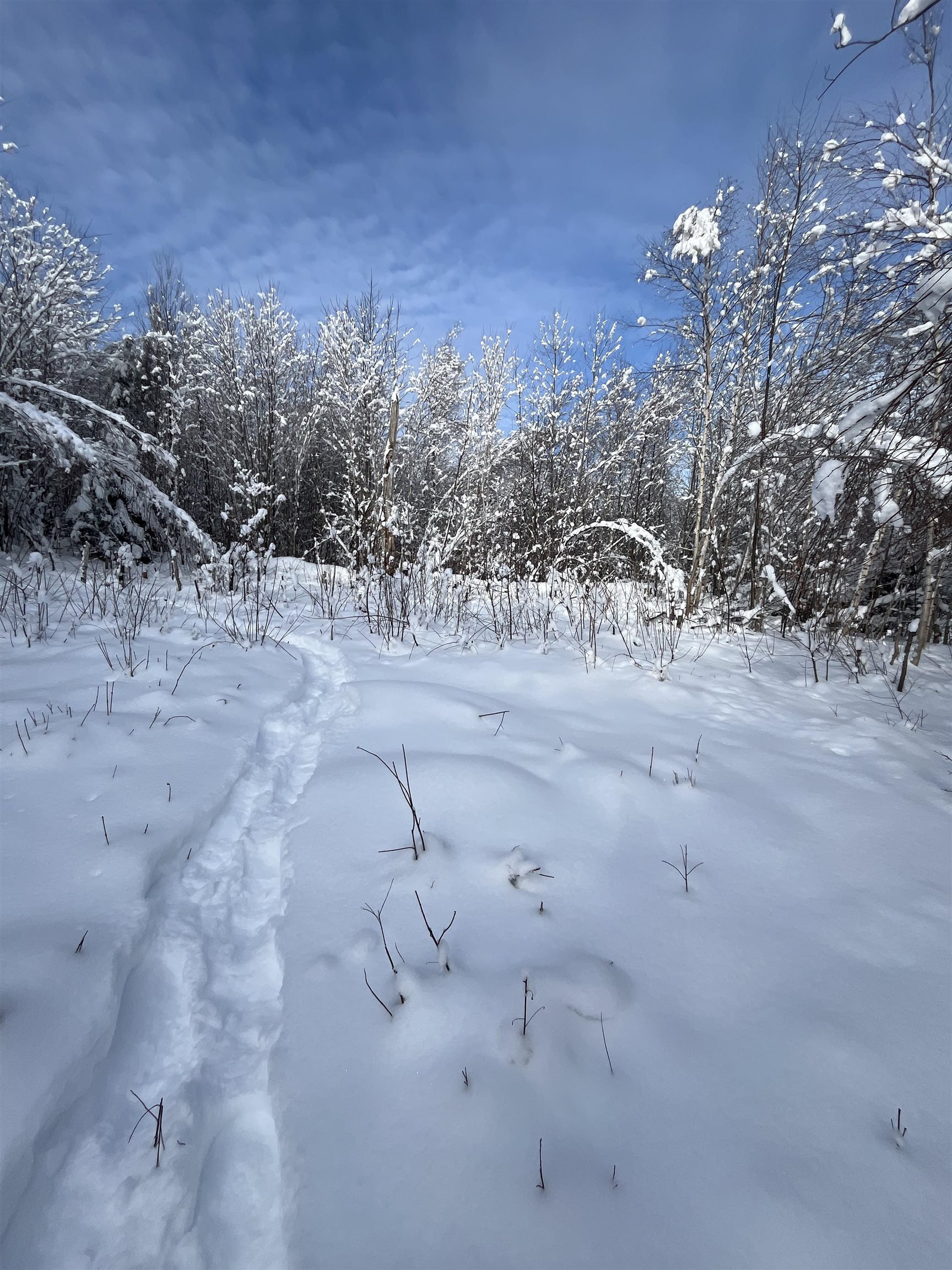 3-a Westover Road Jay, VT 05859 - Photo 8 of 19 Gallery Image 8