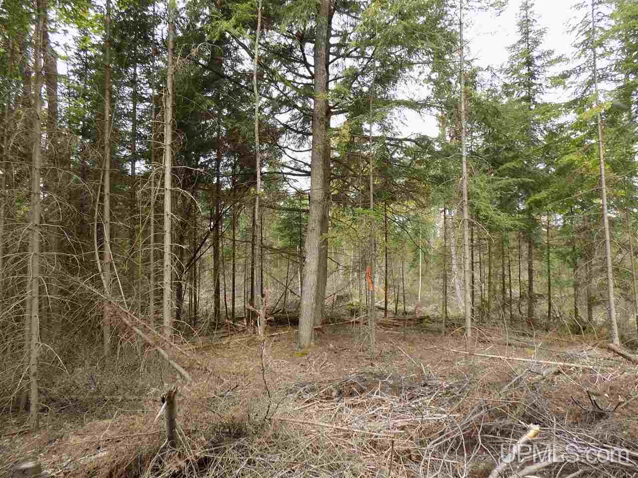 Tbd Slim's Road, Unit PARCEL B Manistique, MI 49854 - Photo 10 of 21