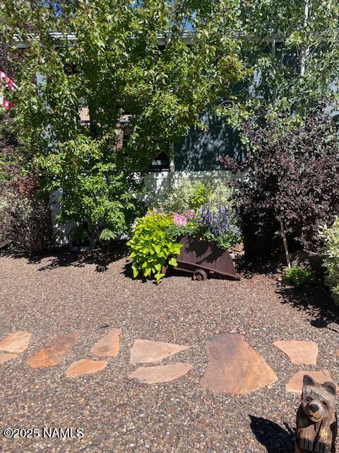 17265 Buffalo Run Munds Park, AZ 86017 - Photo 44 of 51 a view of a pathway with a yard