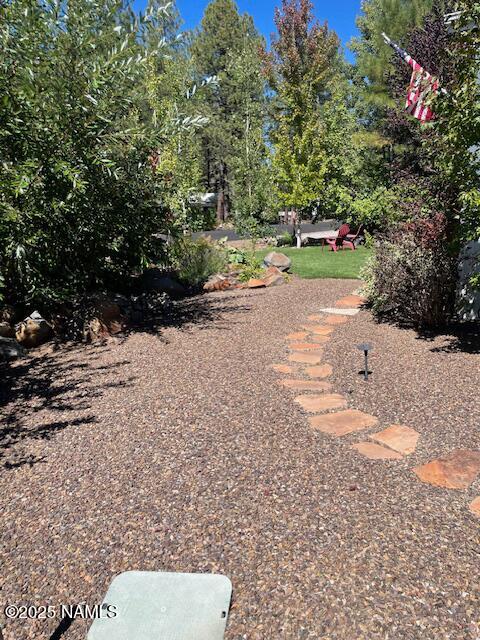 17265 Buffalo Run Munds Park, AZ 86017 - Photo 45 of 51 a view of a yard with a tree