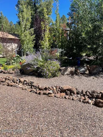 a view of a field with a tree