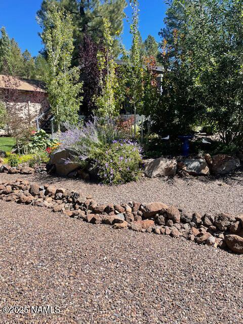 17265 Buffalo Run Munds Park, AZ 86017 - Photo 47 of 51 a view of a yard with a tree