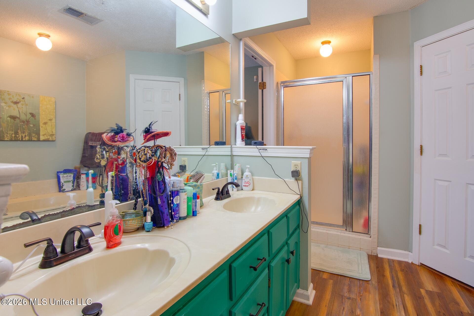 7160 Pecan Ridge North Southaven, MS 38671 - Photo 12 of 23 Master Bathroom