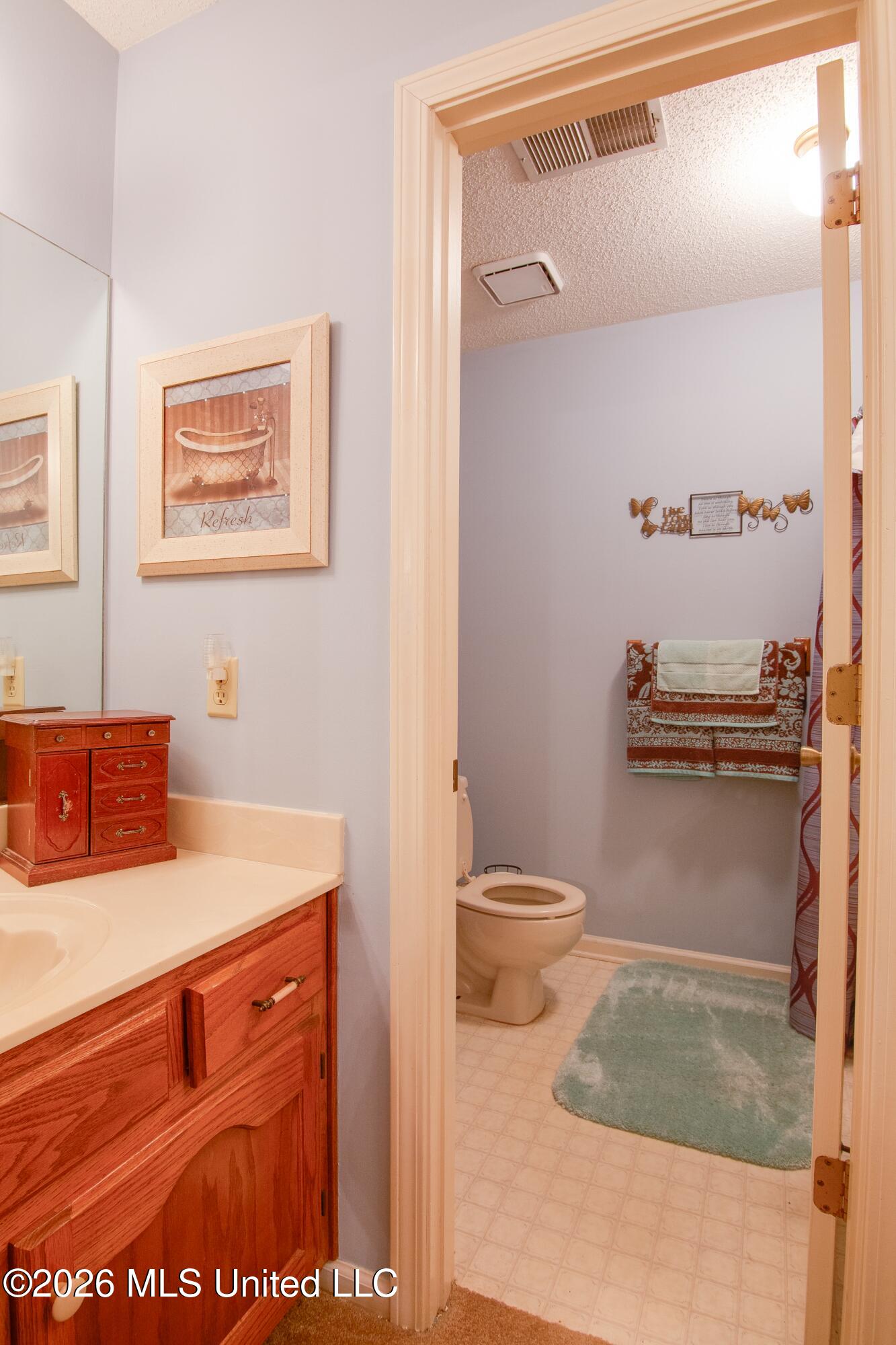 7160 Pecan Ridge North Southaven, MS 38671 - Photo 17 of 23 Upstairs Full Bath