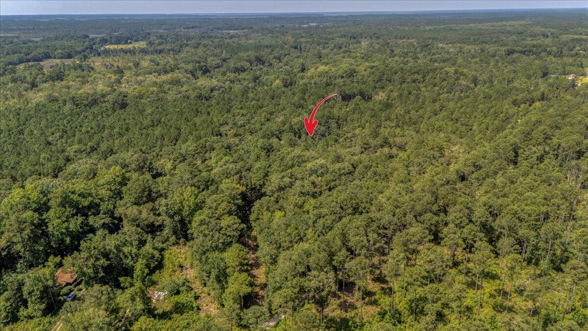 7799 Morris Bing Road Hollywood, SC 29449 - Photo 2 of 10 07-7799 Morris Bing Rd-7