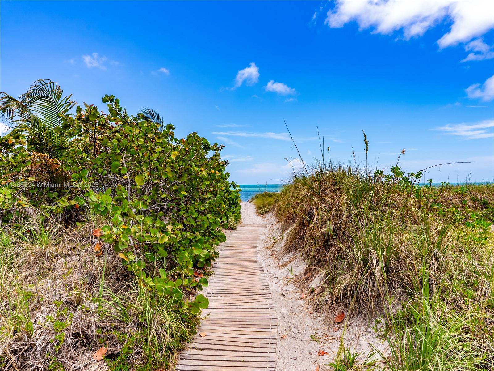 141 Crandon Boulevard, Unit 446 Key Biscayne, FL 33149 - Photo 26 of 30 a view of a pathway both side of building
