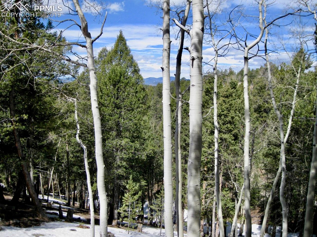 659 Paradiso Road Divide, CO 80814 - Photo 1 of 13