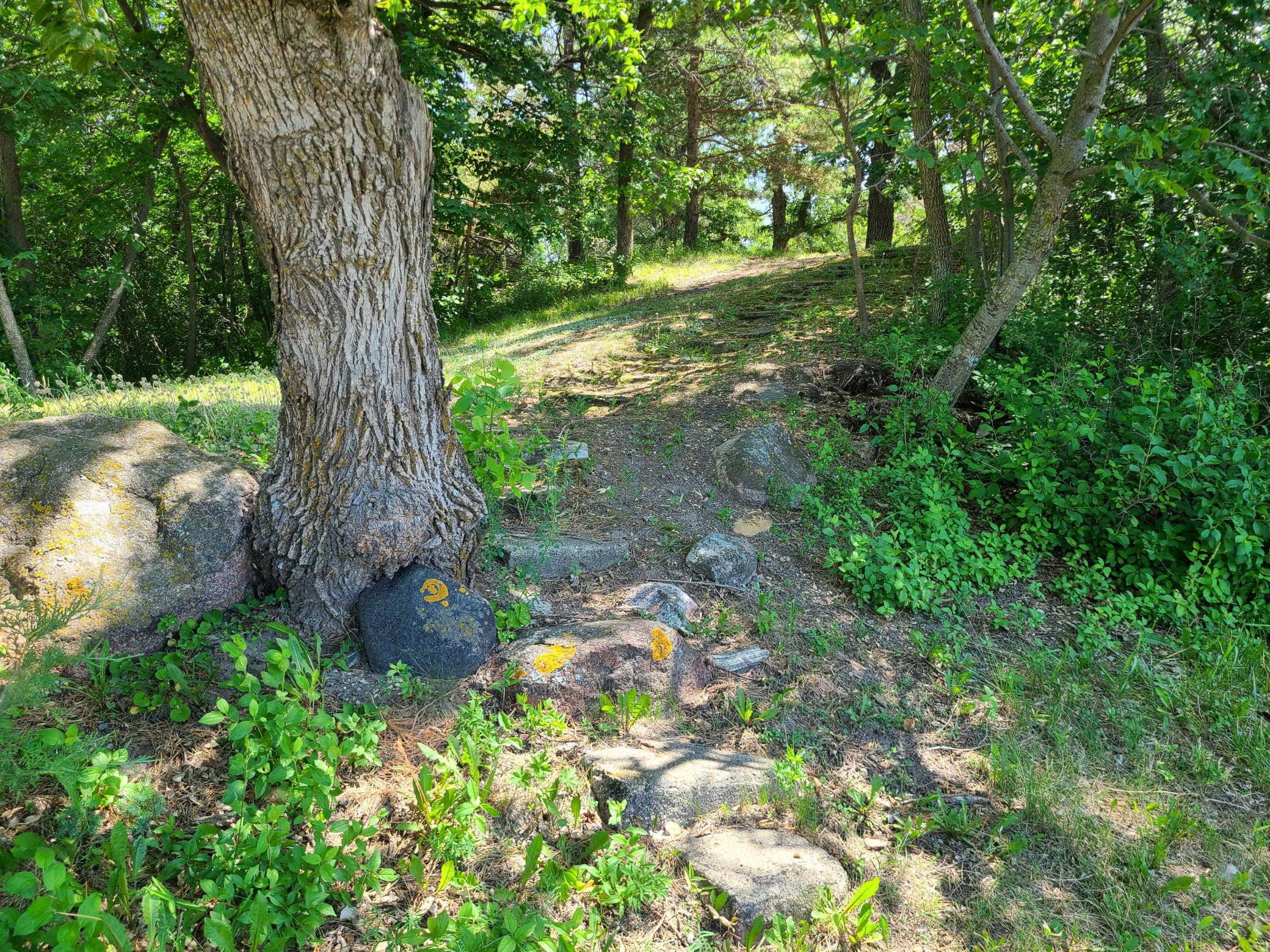 26373 Anna Lake Road Underwood, MN 56586 - Photo 8 of 39