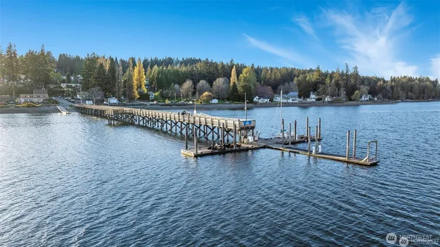 a view of a garden with an outdoor space