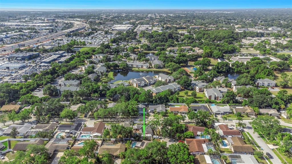 2913 Fairfield Court Dunedin, FL 34698 - Photo 43 of 47