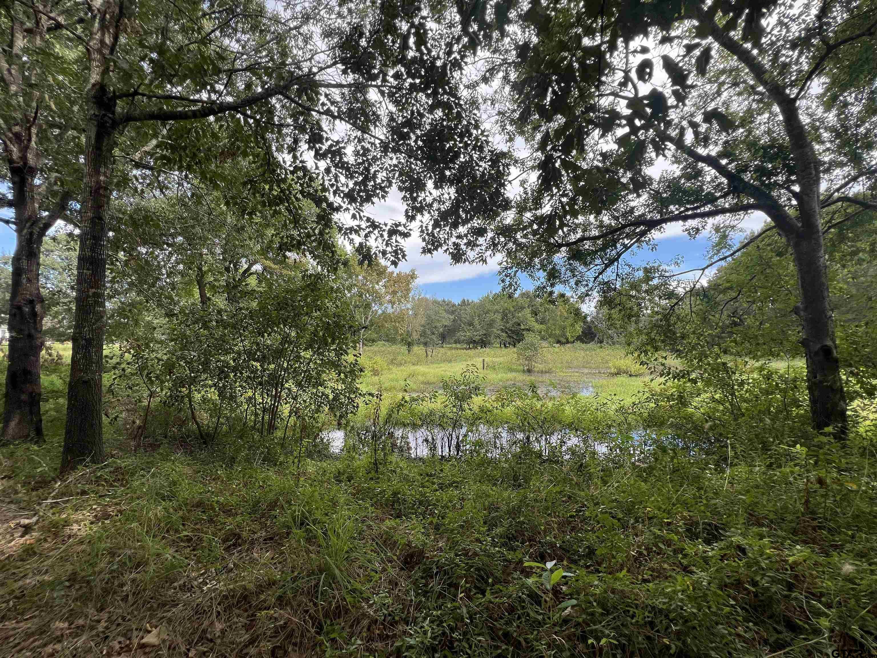 14694 C R 424 Lindale, TX 75771 - Photo 1 of 9