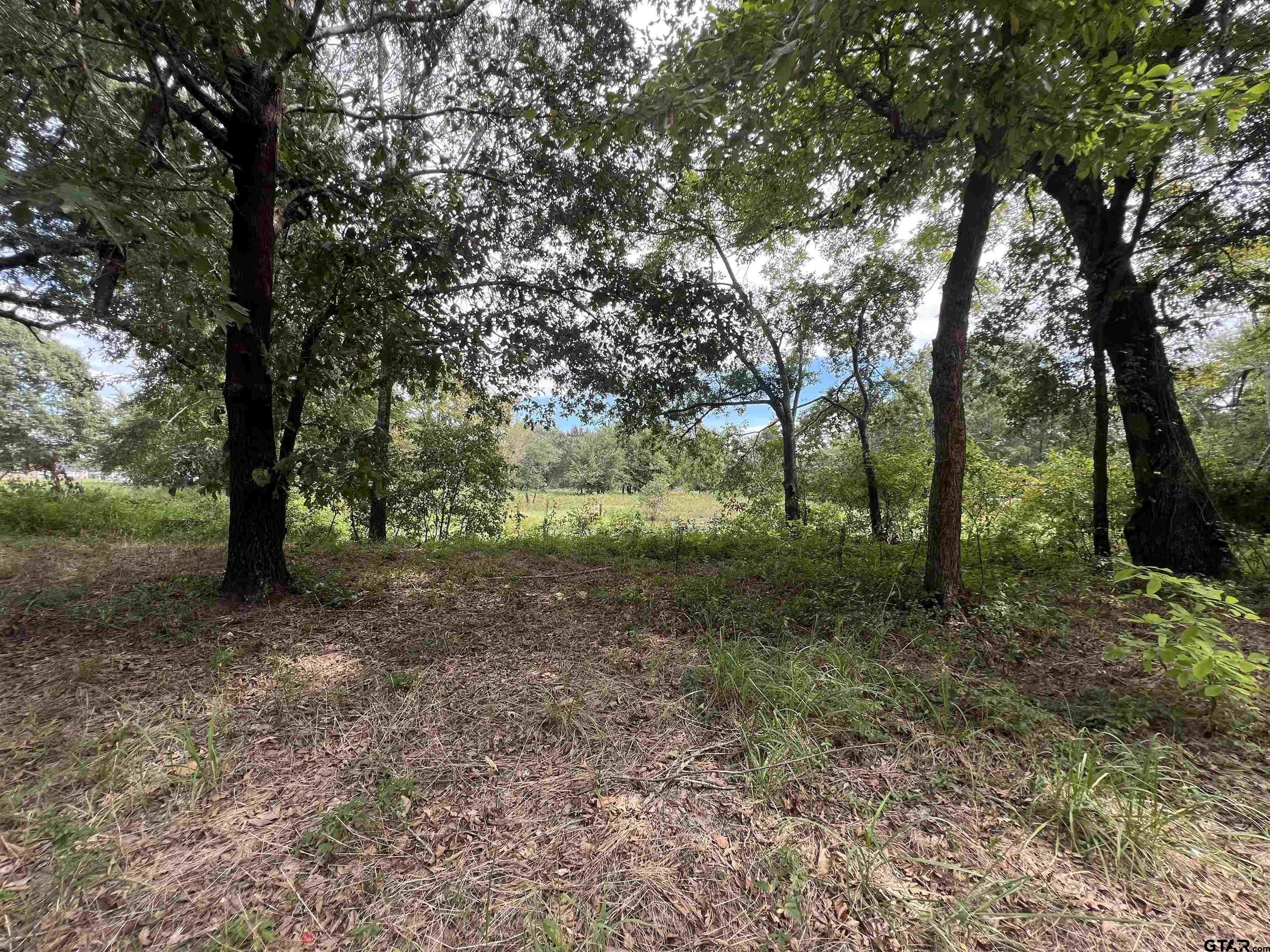 14694 C R 424 Lindale, TX 75771 - Photo 2 of 9