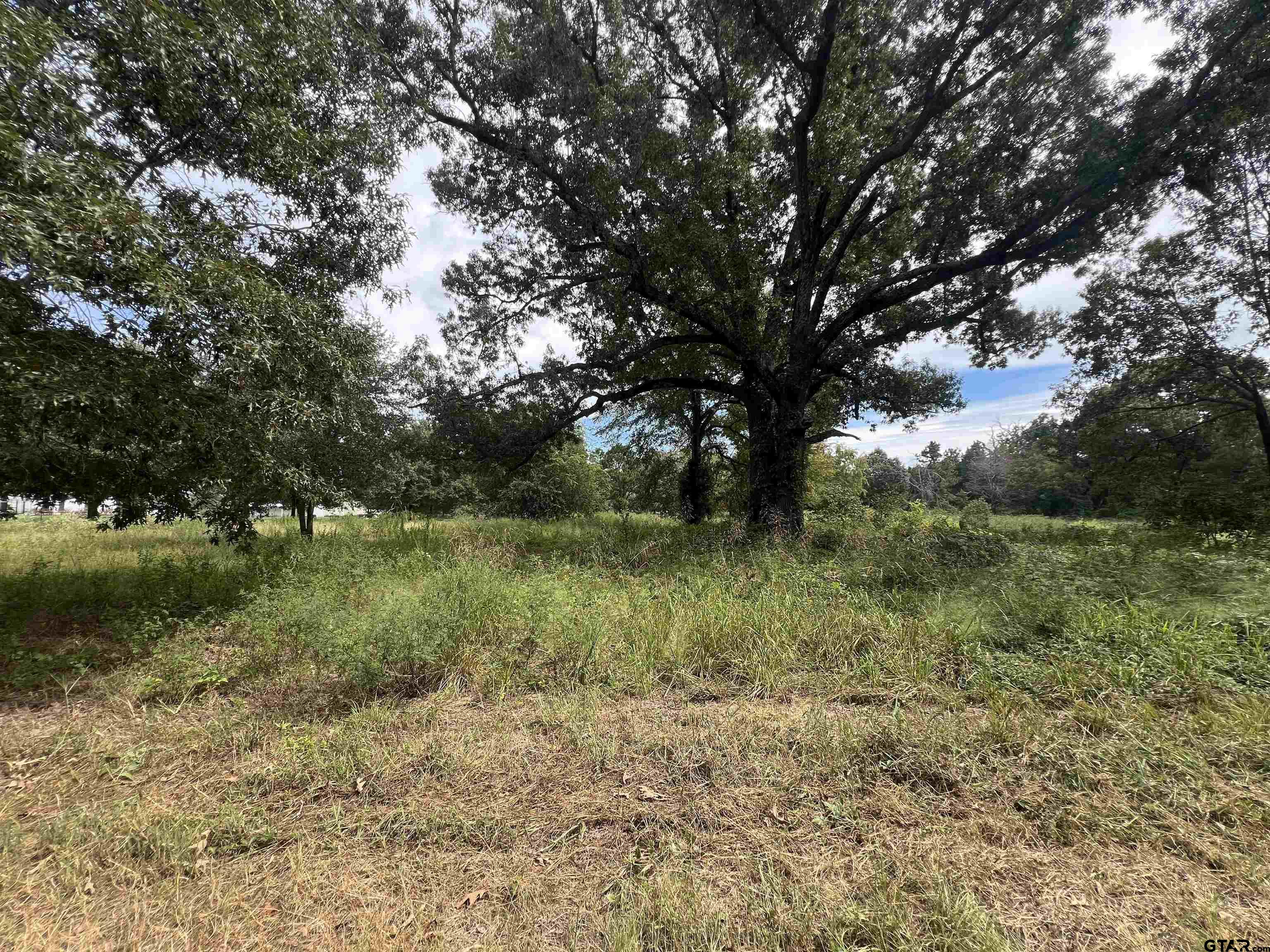 14694 C R 424 Lindale, TX 75771 - Photo 3 of 9