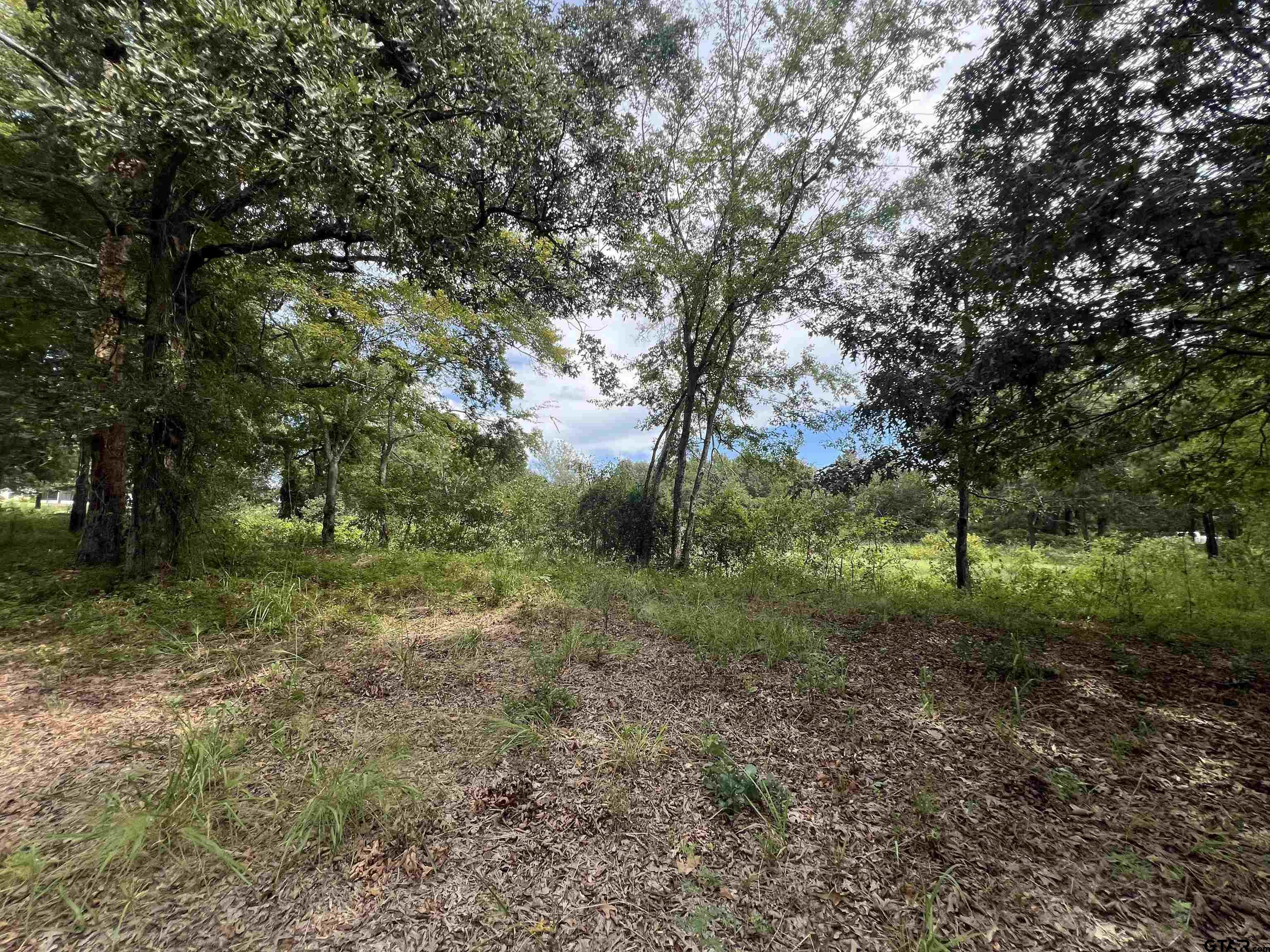 14694 C R 424 Lindale, TX 75771 - Photo 4 of 9