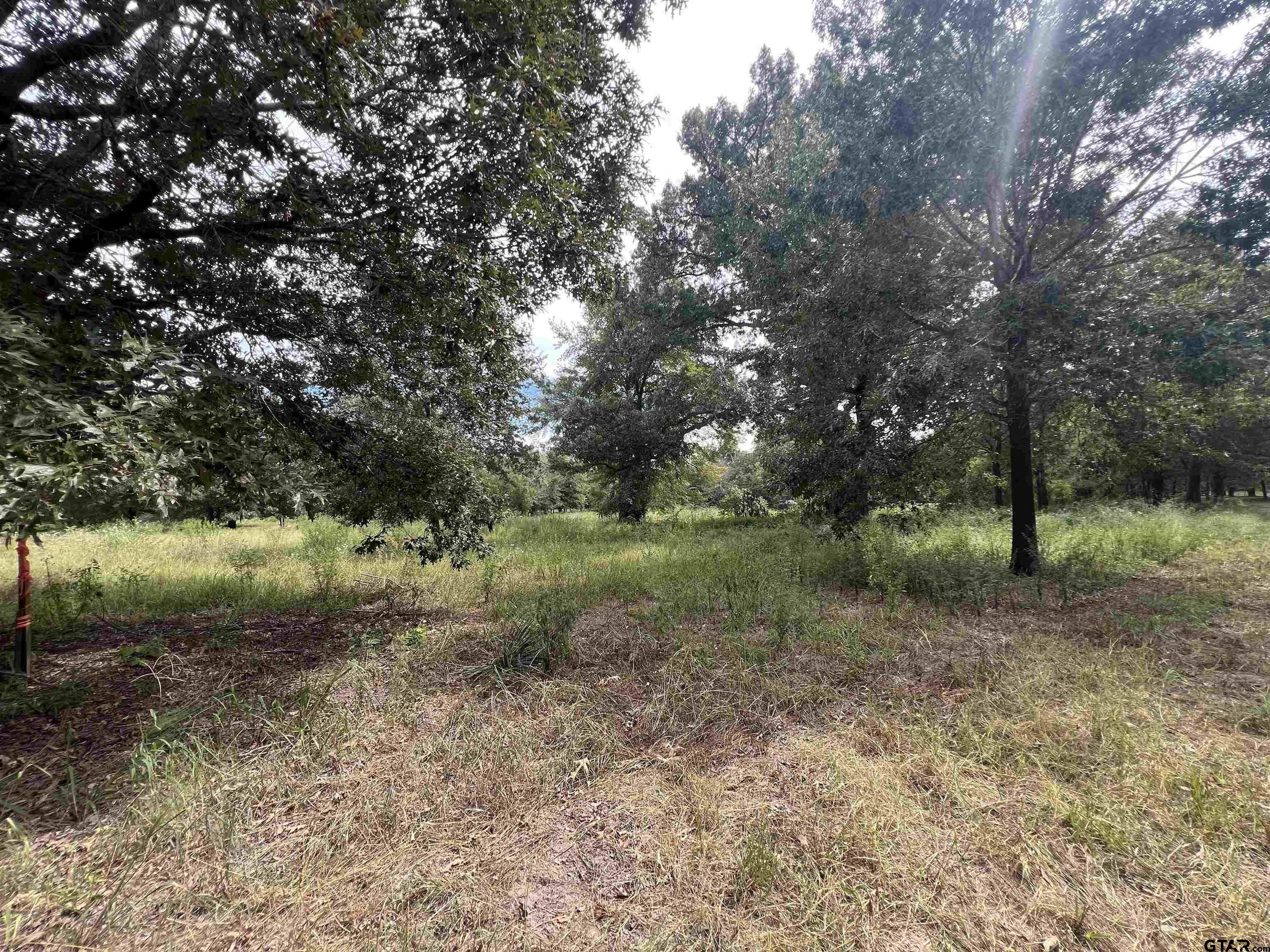 14694 C R 424 Lindale, TX 75771 - Photo 5 of 9