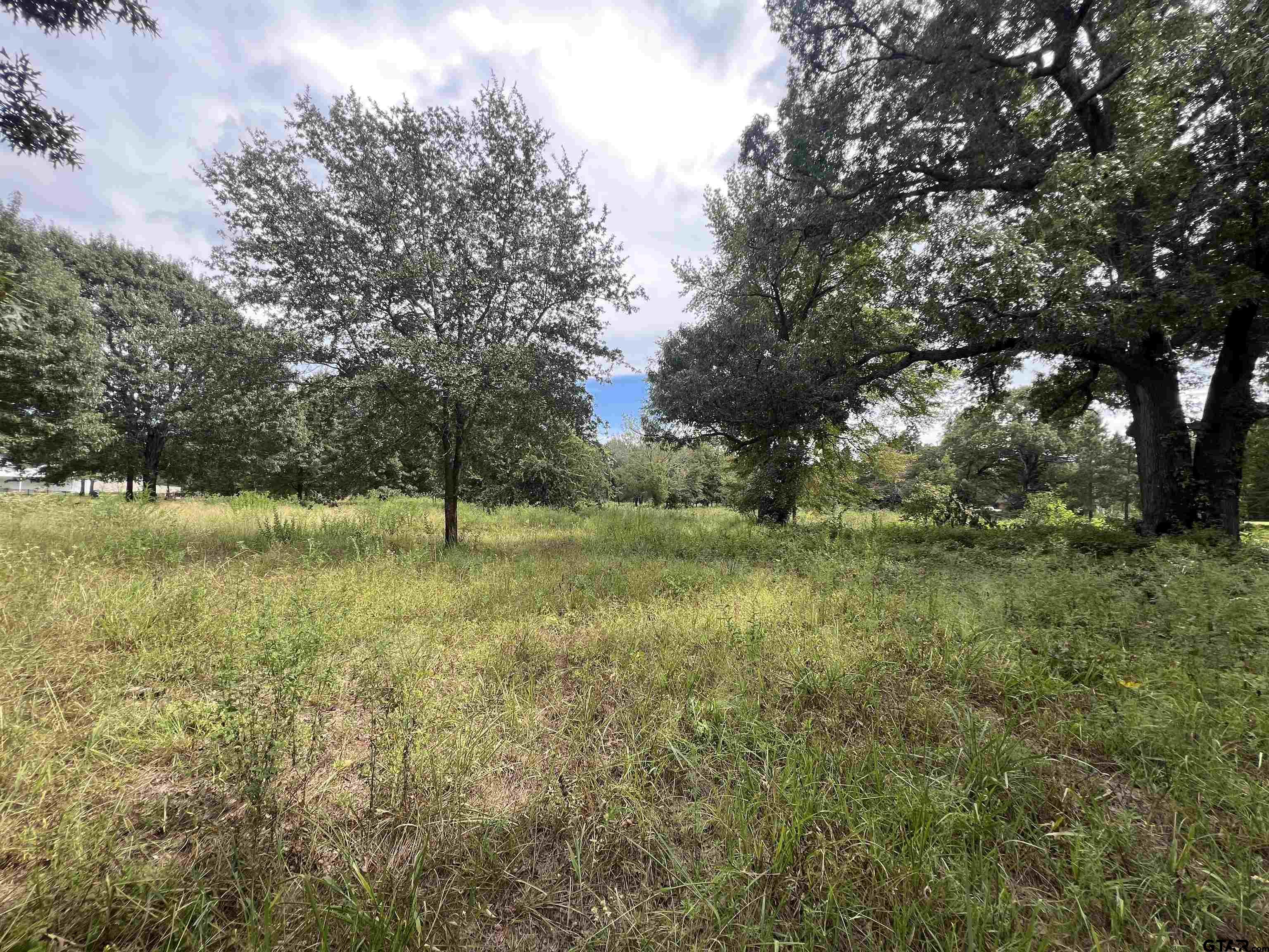 14694 C R 424 Lindale, TX 75771 - Photo 6 of 9