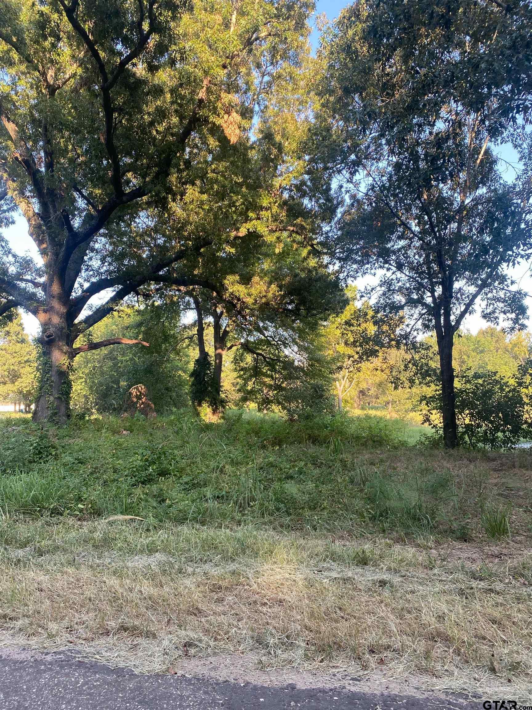 14694 C R 424 Lindale, TX 75771 - Photo 7 of 9